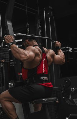 Jegos-treniruoklis-namams